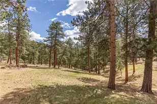 302 Cottonwood Dr, Evergreen, CO 80439 - Photo 41