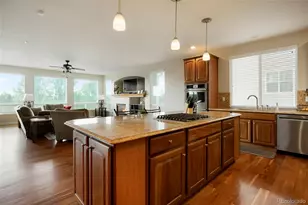 4914 Streambed Trail, Parker, CO 80134 - Photo 9