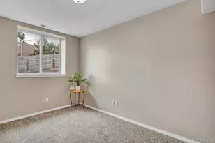 861 Circle, Palmer Lake, CO 80133 - Photo 29