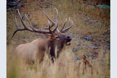 2360 Juniper Court, Golden, CO 80401 - Photo 15