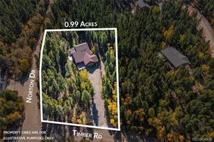 220 Timber Rd, Black Hawk, CO 80422 - Photo 19