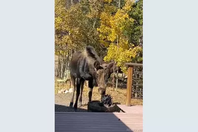 220 Timber Road, Black Hawk, CO 80422 - Photo 33