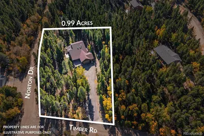 220 Timber Road, Black Hawk, CO 80422 - Photo 19