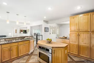 1070 S Elmira St, Denver, CO 80247 - Photo 13