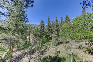 606 Clark Rd, Bailey, CO 80421 - Photo 37
