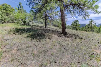 606 Clark Road, Bailey, CO 80421 - Photo 35
