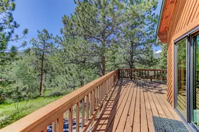 606 Clark Road, Bailey, CO 80421 - Photo 33