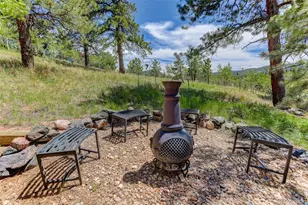 606 Clark Rd, Bailey, CO 80421 - Photo 9