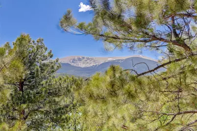 606 Clark Road, Bailey, CO 80421 - Photo 7