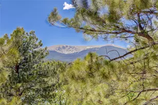 606 Clark Rd, Bailey, CO 80421 - Photo 7