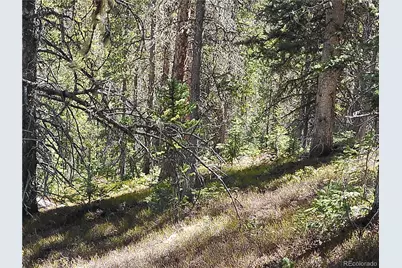 Forbes, Fort Garland, CO 81133 - Photo 7