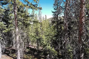 Forbes, Fort Garland, CO 81133 - Photo 1