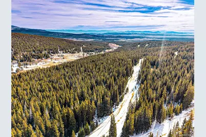 345 Bum Drive, Fairplay, CO 80440 - Photo 3