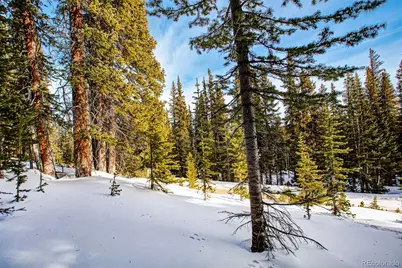 345 Bum Drive, Fairplay, CO 80440 - Photo 15