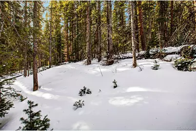 345 Bum Drive, Fairplay, CO 80440 - Photo 19