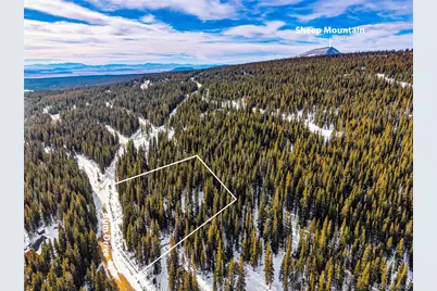 345 Bum Drive, Fairplay, CO 80440 - Photo 31