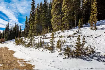 345 Bum Drive, Fairplay, CO 80440 - Photo 7