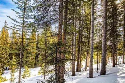 345 Bum Drive, Fairplay, CO 80440 - Photo 17