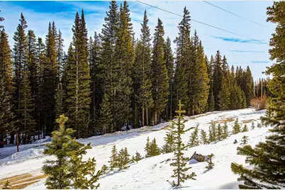 345 Bum Drive, Fairplay, CO 80440 - Photo 13