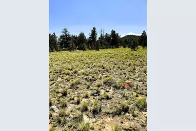 127 Boulder Road, Hartsel, CO 80449 - Photo 31