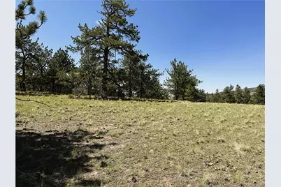 127 Boulder Road, Hartsel, CO 80449 - Photo 23
