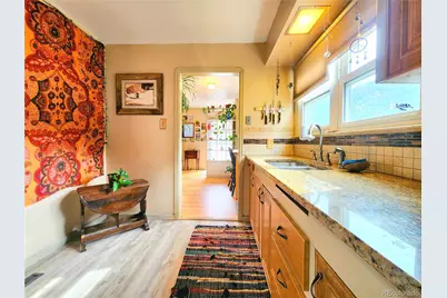 310 Virginia Street, Idaho Springs, CO 80452 - Photo 9