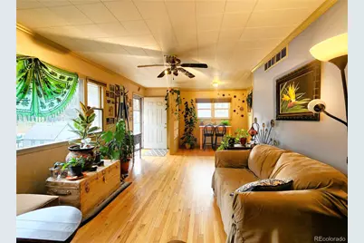 310 Virginia Street, Idaho Springs, CO 80452 - Photo 15