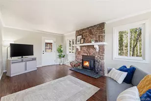 150 Cedar Rd, Evergreen, CO 80439 - Photo 17