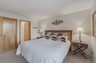 200 E La Bonte Street, Dillon, CO 80435 - Photo 15
