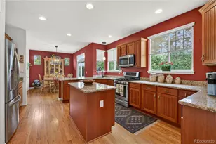 10672 Riverbrook Cir, Highlands Ranch, CO 80126 - Photo 13