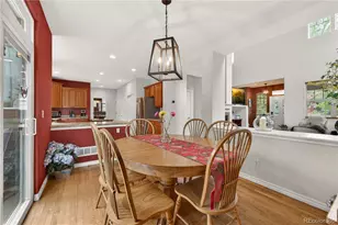 10672 Riverbrook Cir, Highlands Ranch, CO 80126 - Photo 9