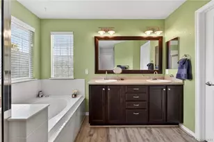 10672 Riverbrook Cir, Highlands Ranch, CO 80126 - Photo 21