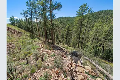 13809 Elsie Road, Conifer, CO 80433 - Photo 15