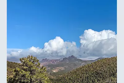 13809 Elsie Road, Conifer, CO 80433 - Photo 7