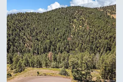 13809 Elsie Road, Conifer, CO 80433 - Photo 3