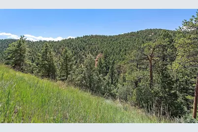 13809 Elsie Road, Conifer, CO 80433 - Photo 11