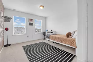 12973 Grassland St, Longmont, CO 80504 - Photo 27