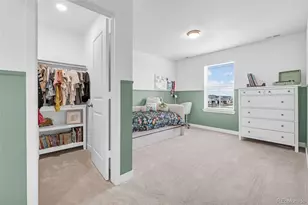 12973 Grassland St, Longmont, CO 80504 - Photo 29