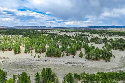 Tract 103 Doe Valley Road, Guffey, CO 80820 - Photo 19