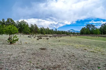 Tract 103 Doe Valley Road, Guffey, CO 80820 - Photo 3