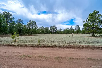 Tract 103 Doe Valley Road, Guffey, CO 80820 - Photo 9