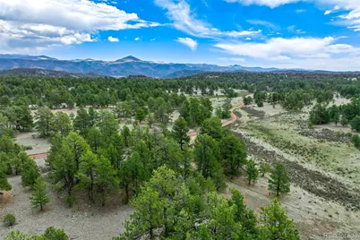Tract 103 Doe Valley Road, Guffey, CO 80820 - Photo 33