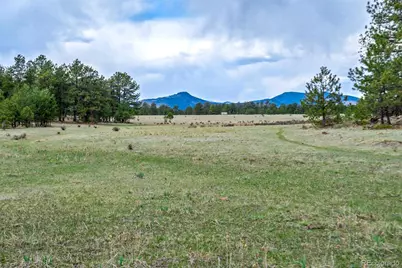 Tract 103 Doe Valley Road, Guffey, CO 80820 - Photo 5