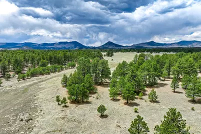 Tract 103 Doe Valley Road, Guffey, CO 80820 - Photo 23