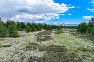Tract 103 Doe Valley Rd, Guffey, CO 80820 - Photo 1