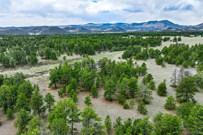 Tract 103 Doe Valley Road, Guffey, CO 80820 - Photo 35