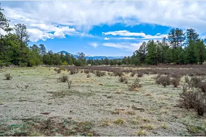 Tract 103 Doe Valley Road, Guffey, CO 80820 - Photo 13