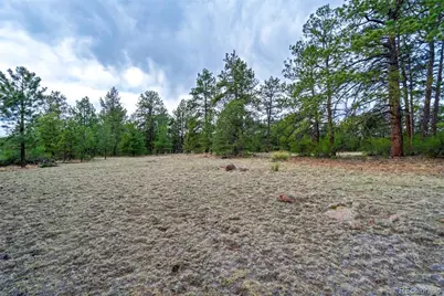 Tract 103 Doe Valley Road, Guffey, CO 80820 - Photo 7