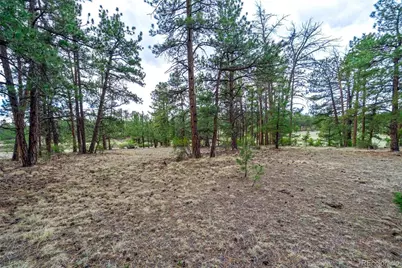 Tract 103 Doe Valley Road, Guffey, CO 80820 - Photo 11