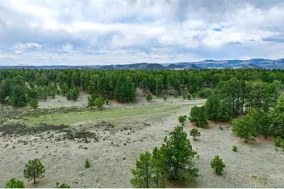 Tract 103 Doe Valley Road, Guffey, CO 80820 - Photo 37